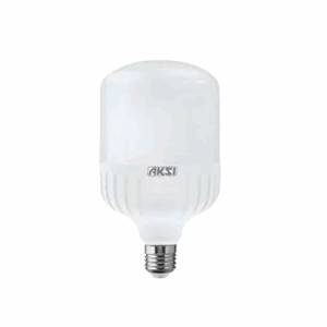 Foco LED Alta Potencia 30W Luz Blanca AKSI
